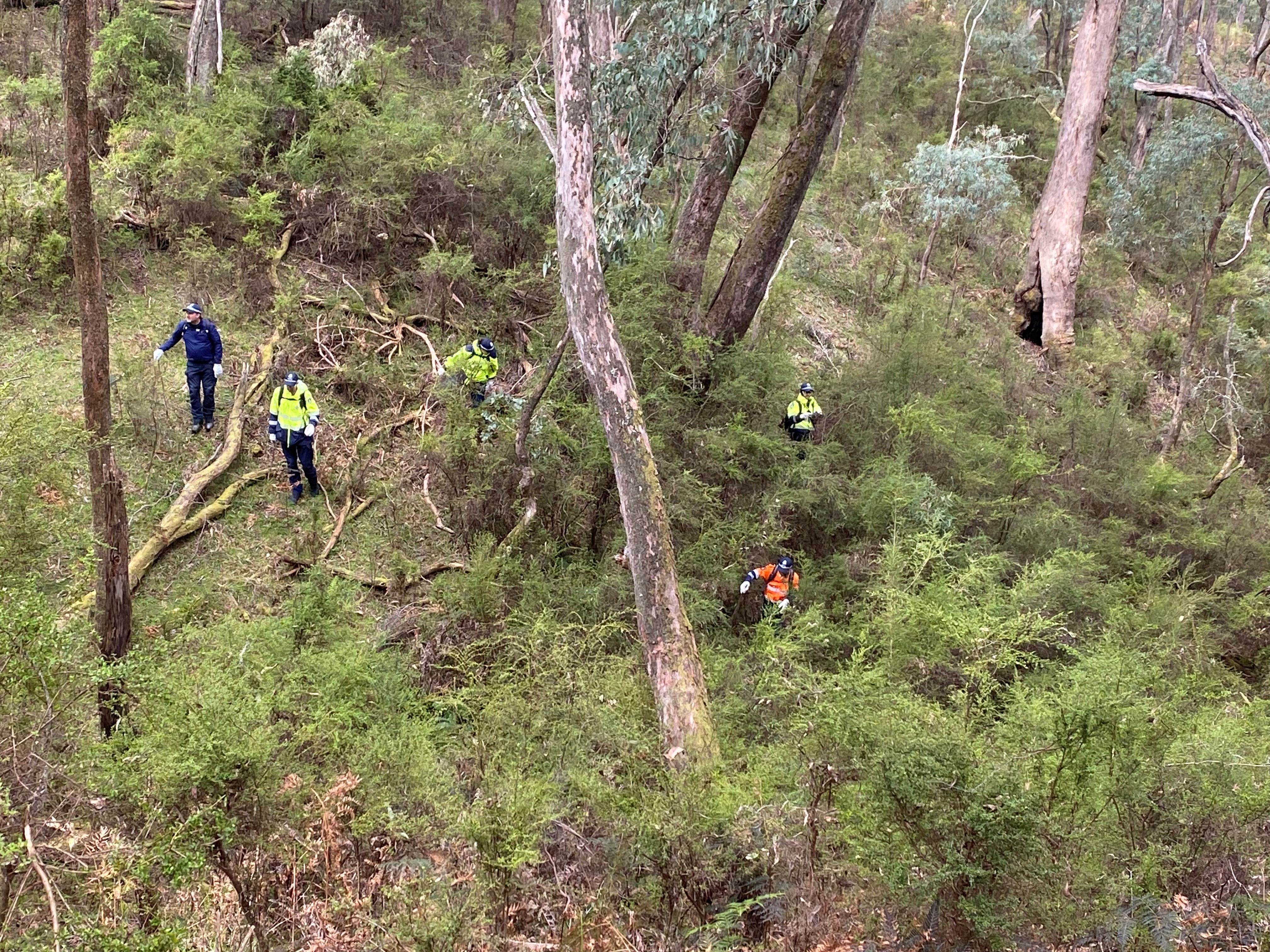 Over the past two days, police have been conducting a search at the Mount Buffalo National Park as part of ongoing efforts to locate Desmond Freeman.
