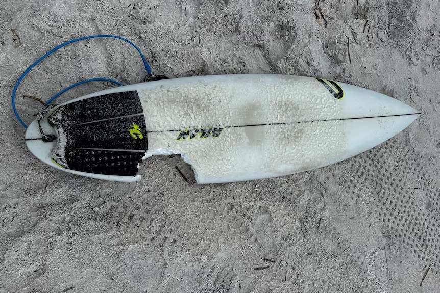 A﻿ surfer has described the moment he fought off a shark which charged at him in the water. Dale Kittow had paddled over a wave at Cheynes Beach, about 68 kilometres east of Albany, when he saw the three-metre bronze whaler 10 metres away.
