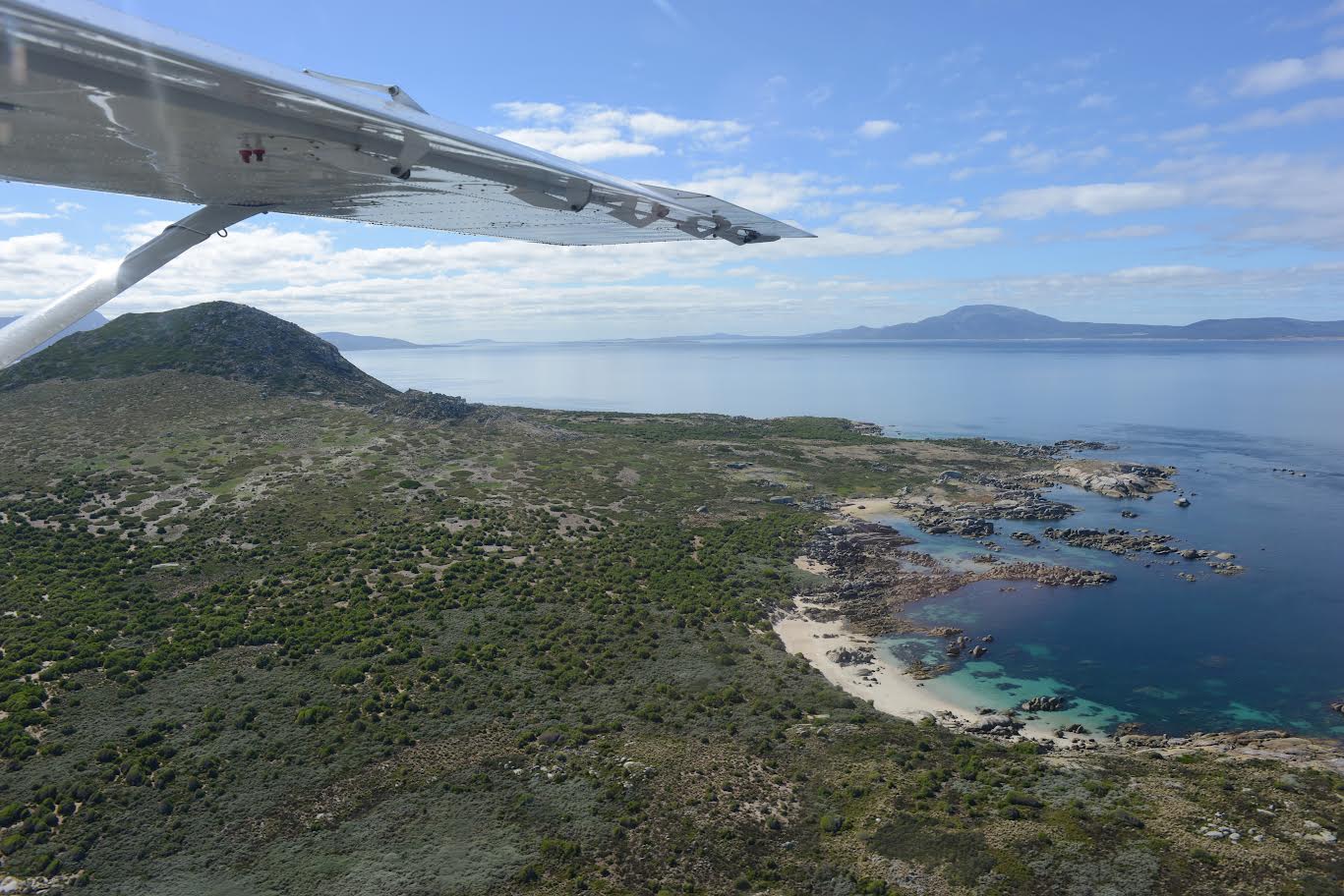 A lifelong dream became a reality in 2018 when Shane Black flew to Chappell Island - a remote spit of land off Tasmania's north east corner.