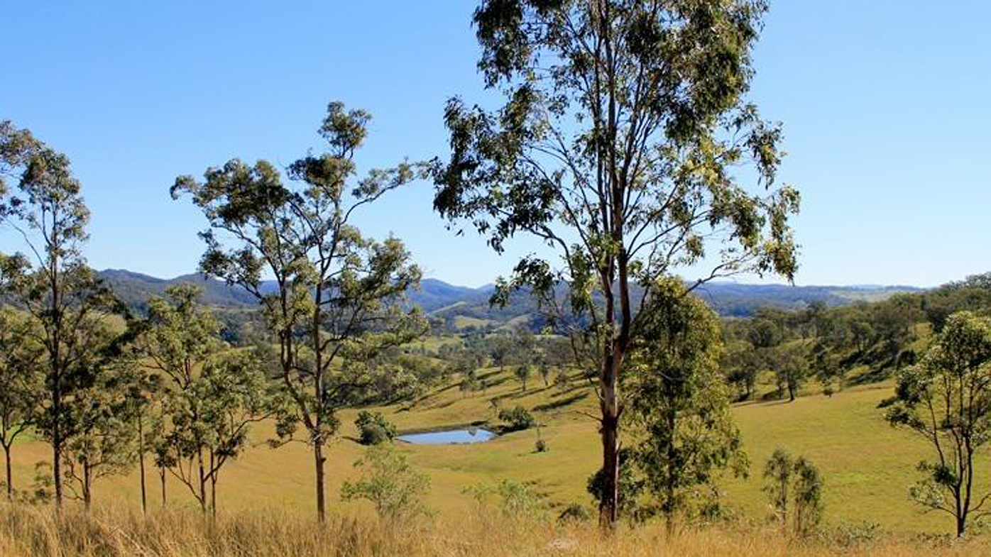 Domain Kyogle