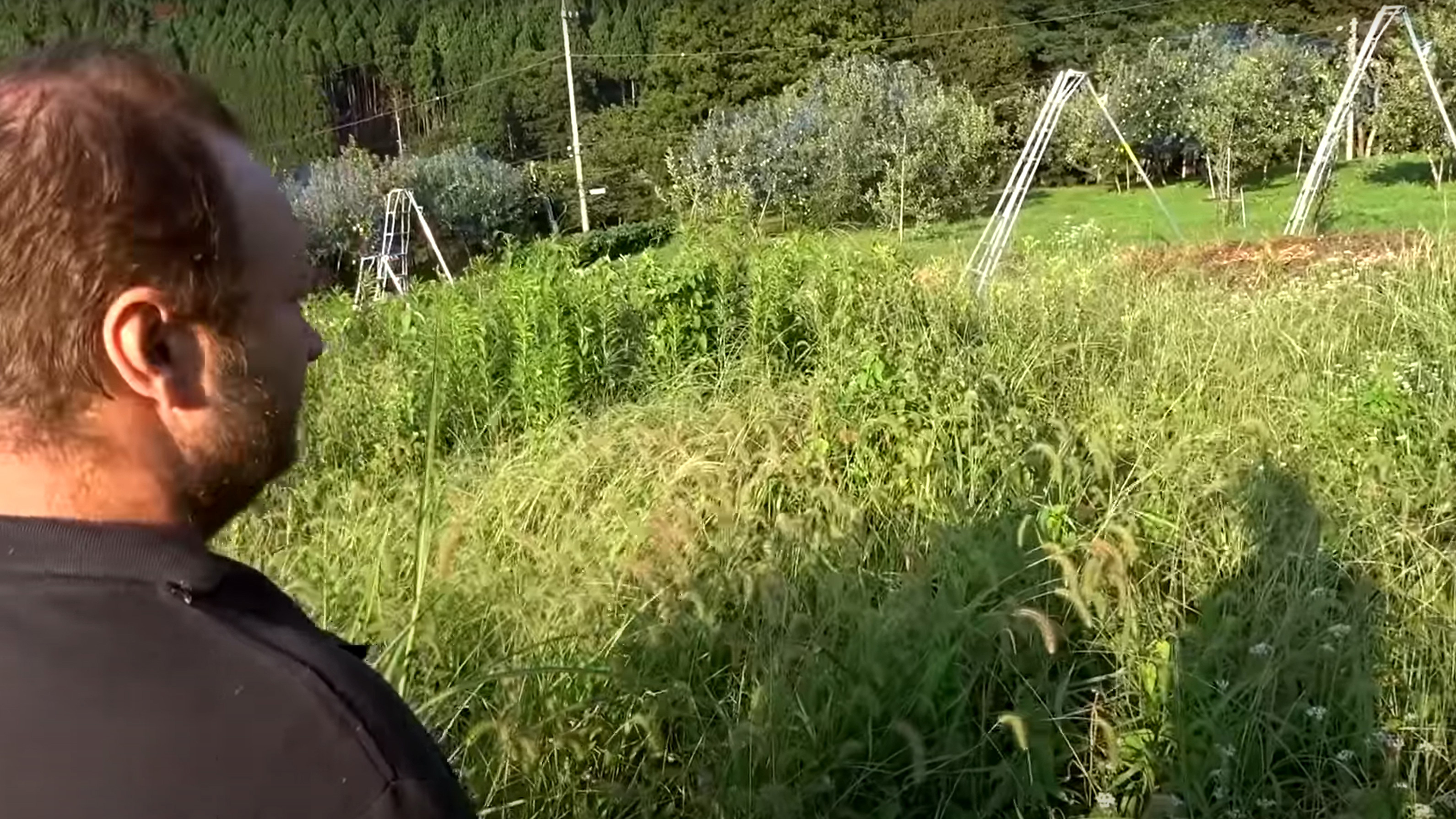 Steve Cunningham has been farming the land which came with his property.