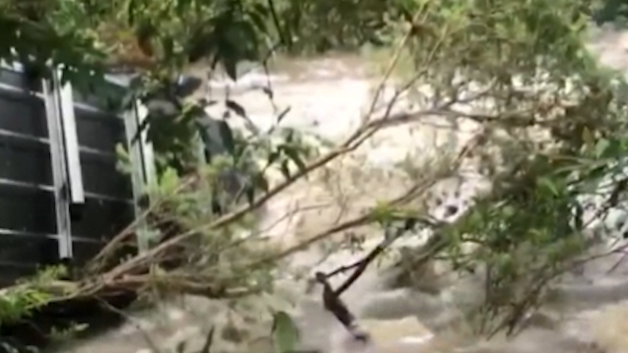 Four people have been rescued after cars were swept into floodwaters in NSW.