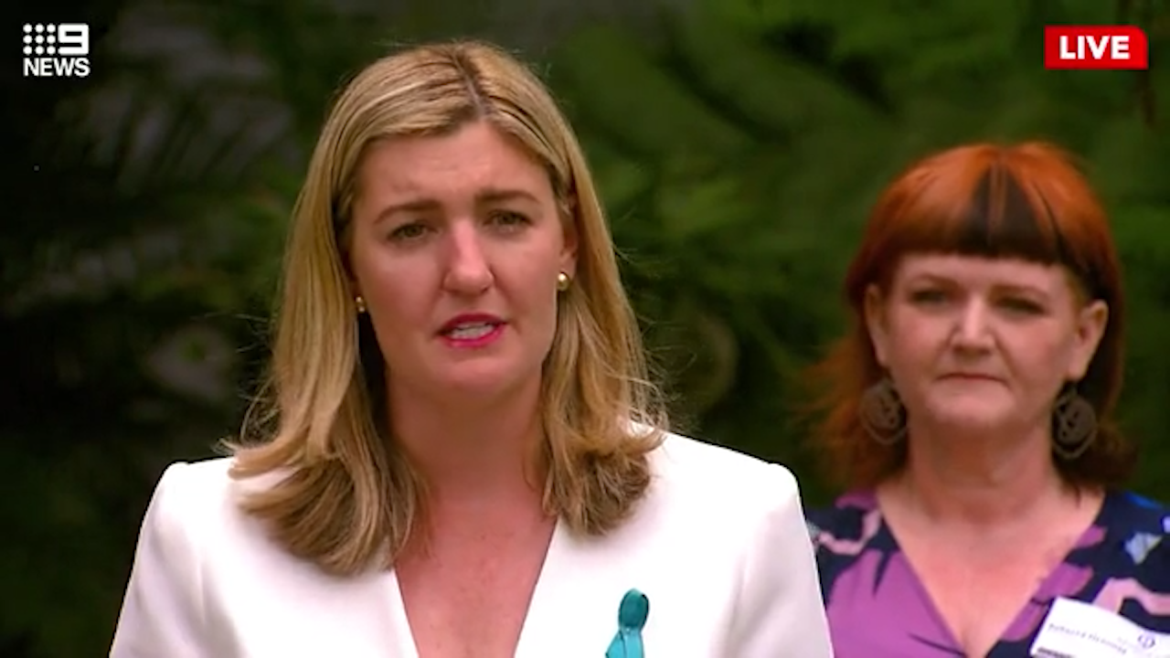 Queensland Attorney-General Shannon Fentiman ﻿introduced the first phase of legislation to combat coercive control on Friday afternoon.