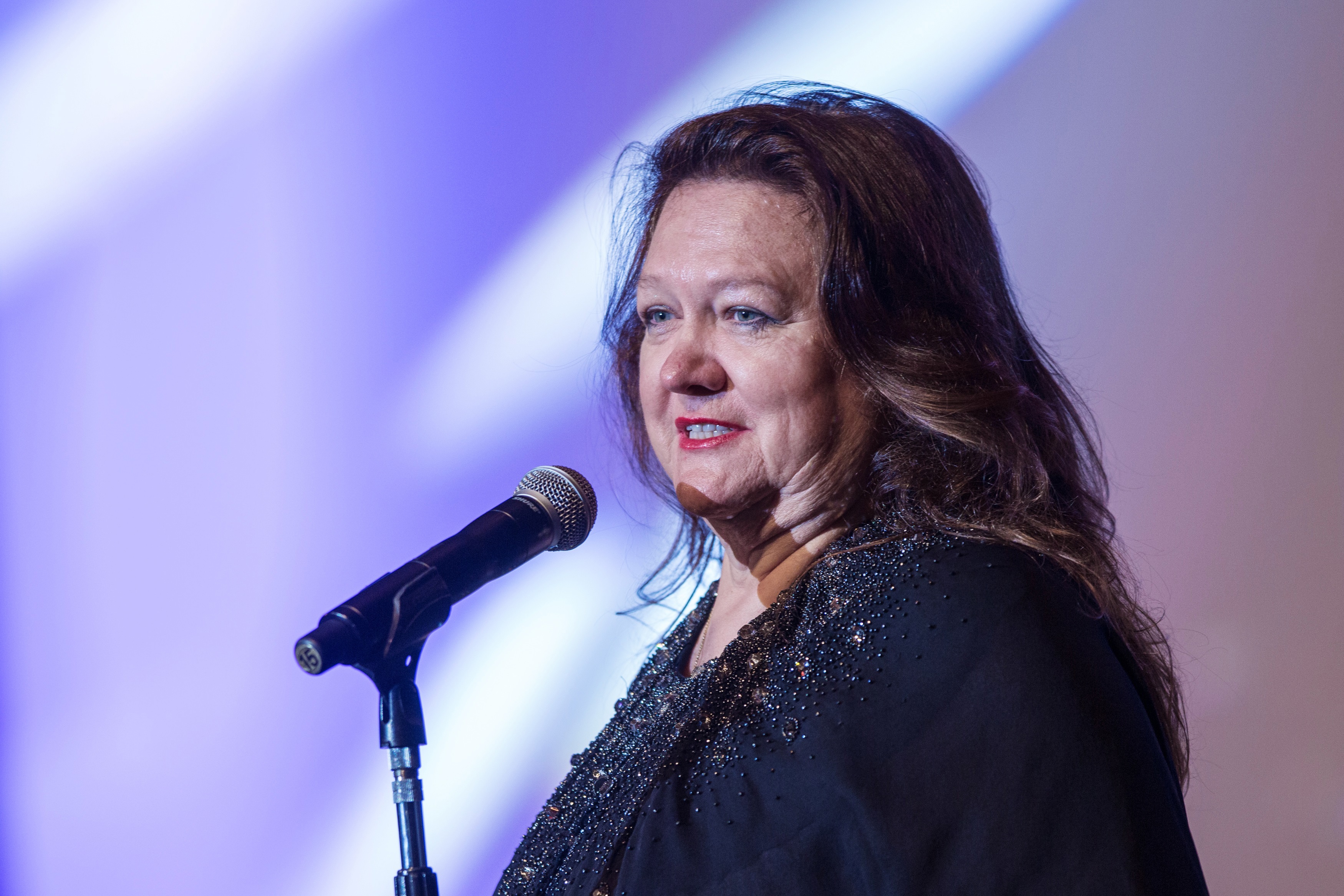 Gina rinehart afr rich list with children