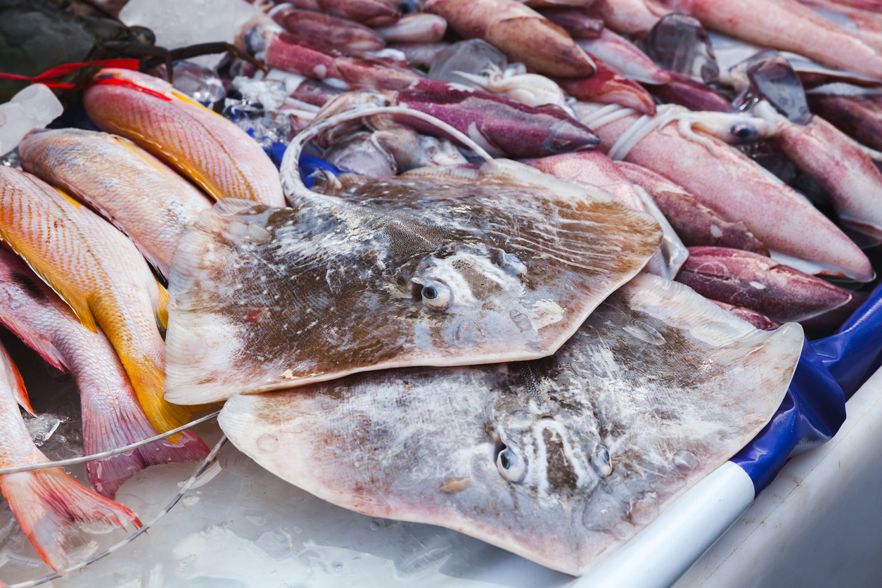 Round ribbontail ray fishes lay on a counter of fish market in Kota Kinabalu, Malaysia