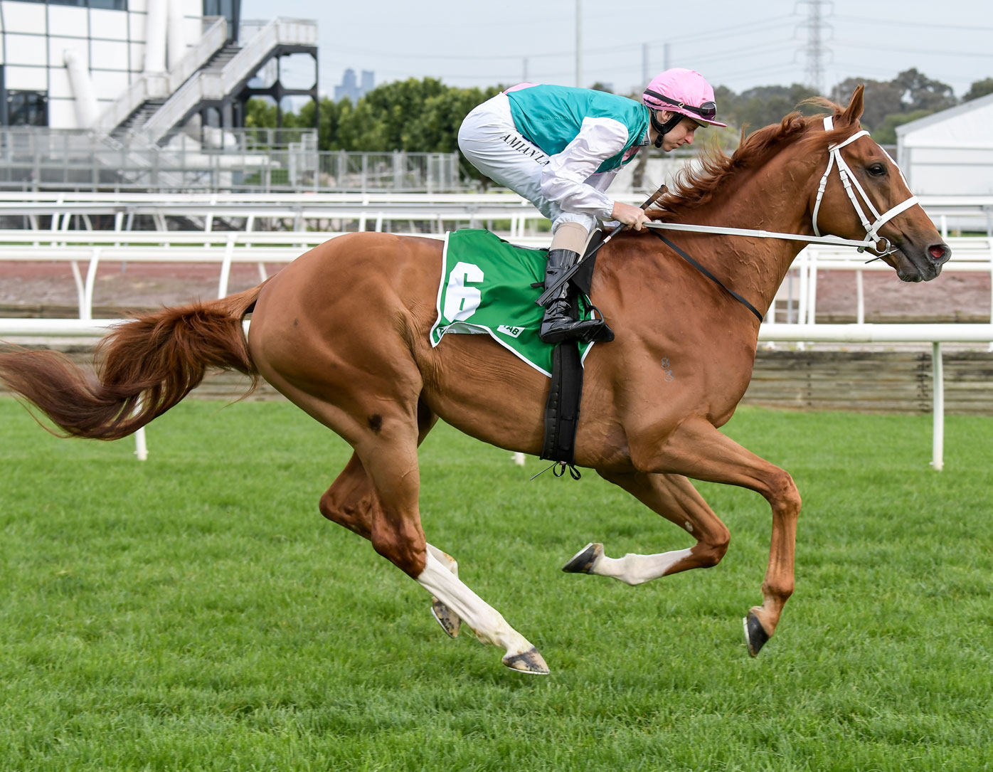 Melbourne Cup horses 2019 form guide, tips, updated odds, jockeys