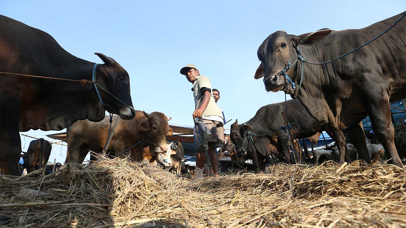 Foot-and-mouth disease has been detected among cattle in Indonesia.