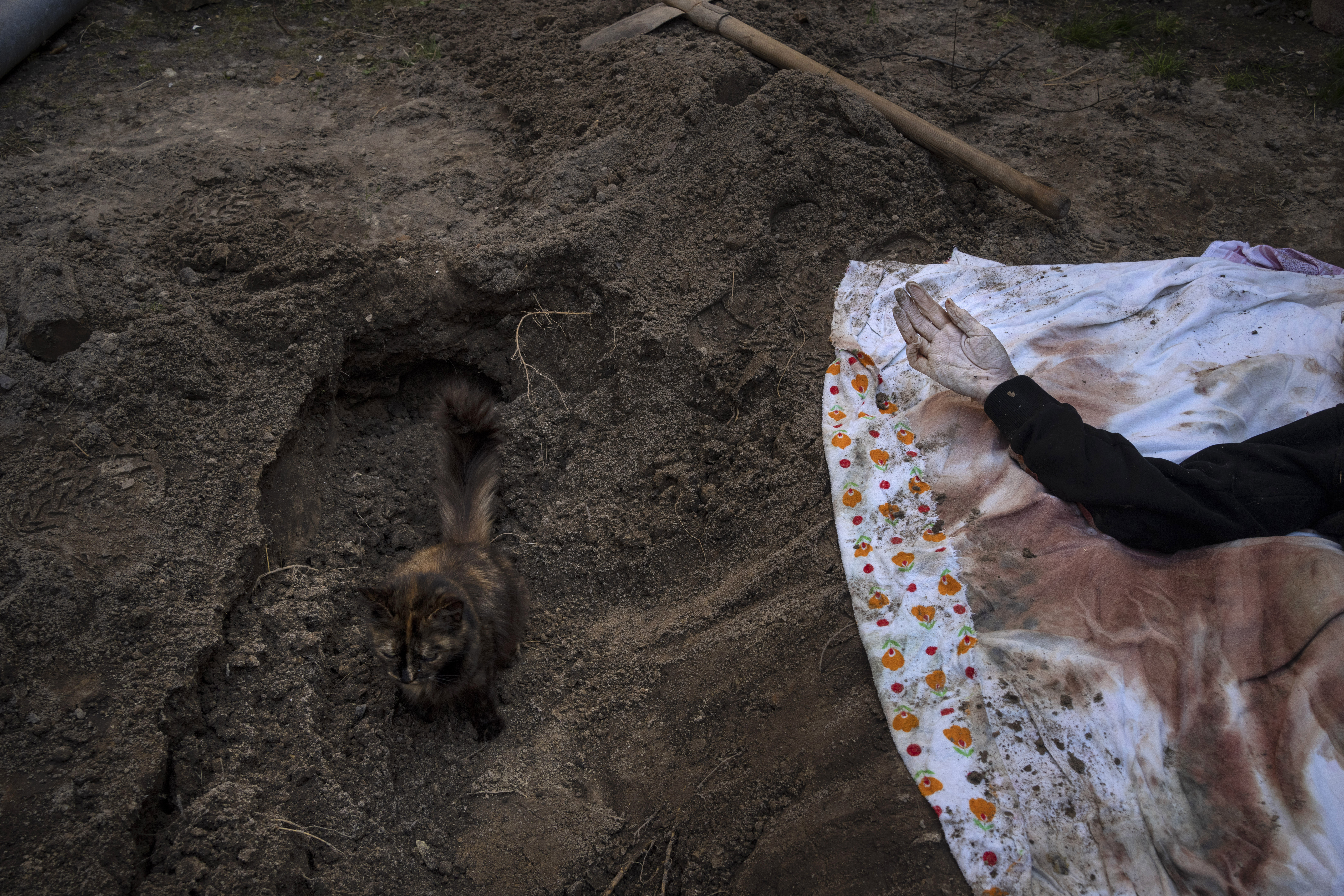 A cat rests inside the tomb where Lyudmyla Kononuchenko, 51, who was buried by family and friends after being hit by a rocket on March 23 during the war with Russia, in Irpin, in the outskirts of Kyiv, Ukraine, Friday , April 15, 2022. The corpse of Lyudmyla was exhumed in the yard of her house  and taken to the morgue for analysis. (AP Photo/Rodrigo Abd)