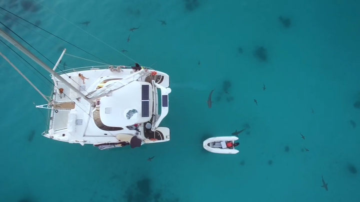 At one point the crews' catamaran was surrounded by sharks.