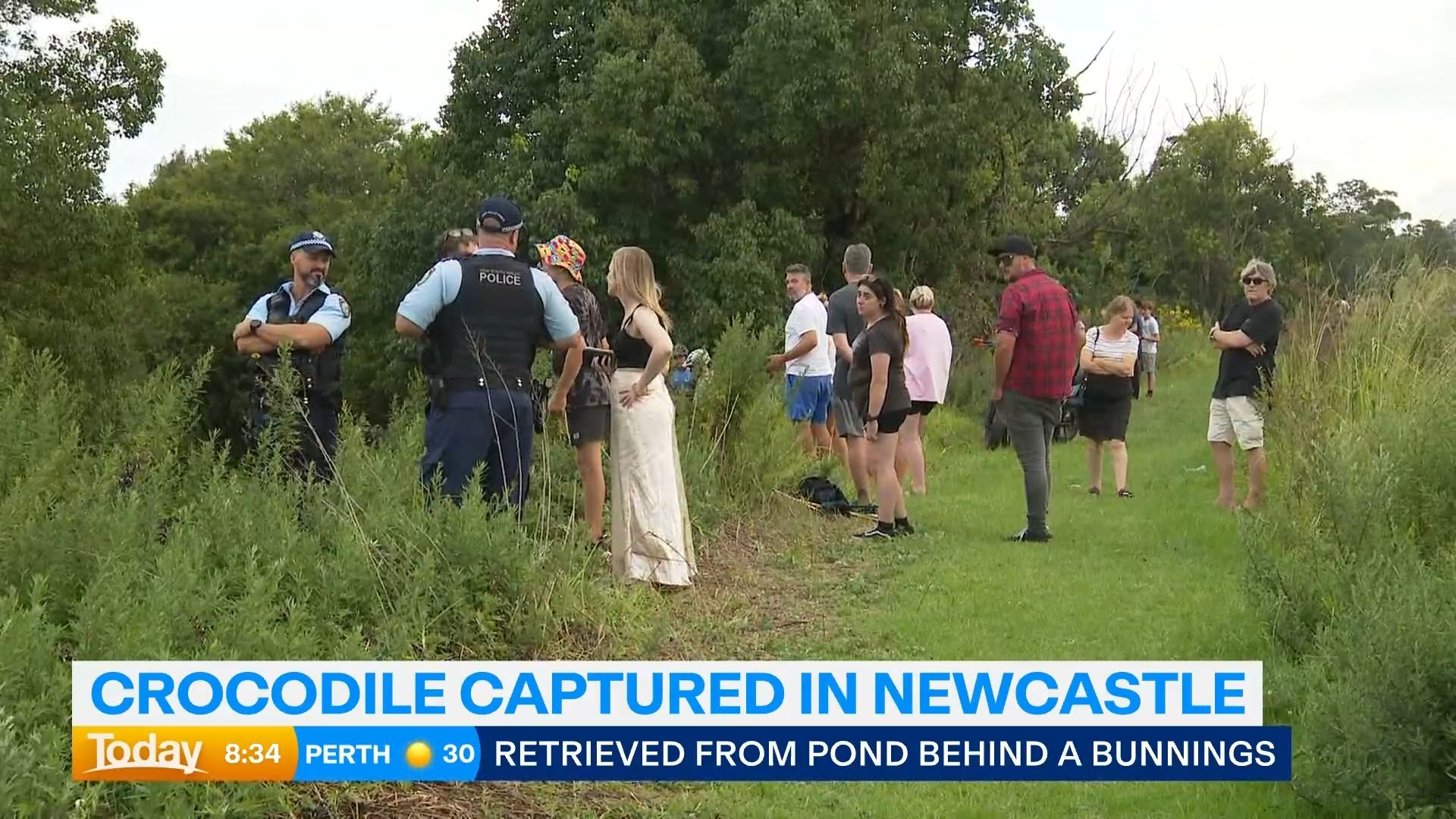 Police were on guard to protect curious onlookers, as well as the young crocodile.