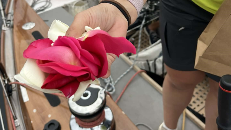 Roses will be scattered from Sydney to Hobart yachts near Bondi Beach.