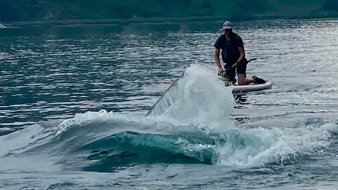 Una ballena se acerca a Kevin Williams mientras remaba en Prince William Sound, cerca de Whittier, Alaska.