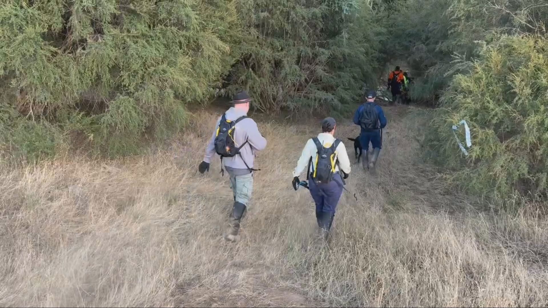 Search for Dezi Freeman 2/2/26