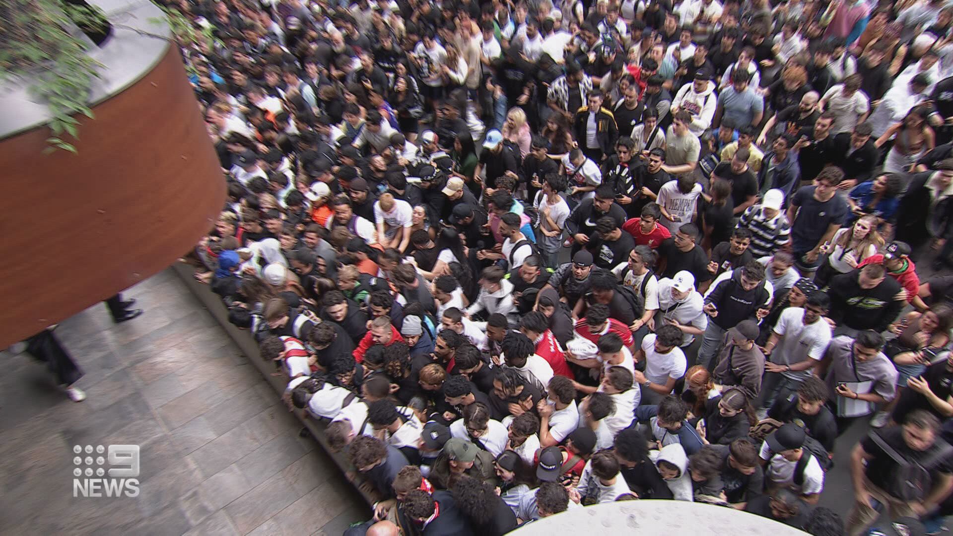 The huge crowd of fans - mostly teenagers and young people - sardined among one another
