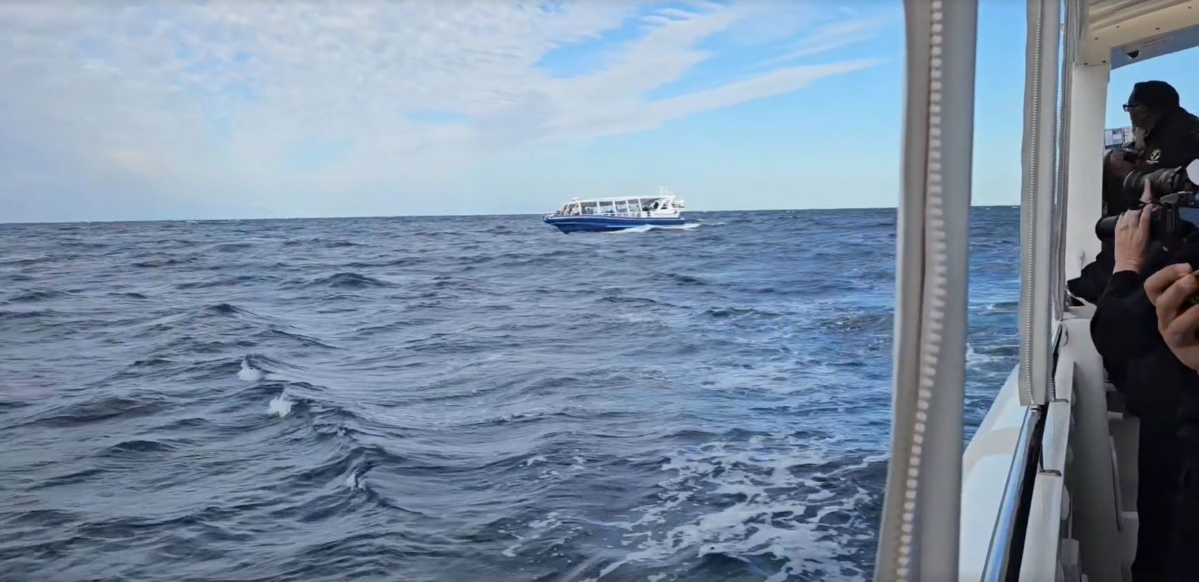 Another tourism operator, Whale Watch Queensland, watched the incident unfold and came to the tourist's aid.