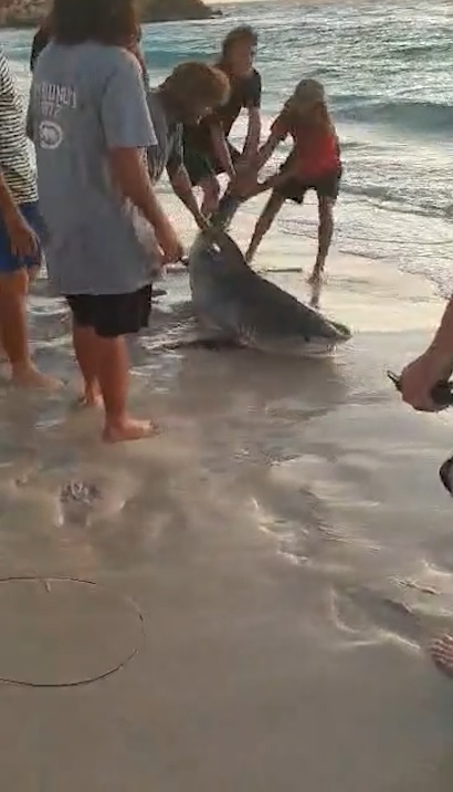 A fisherman has snagged the catch of a lifetime as beachgoers watched on.
