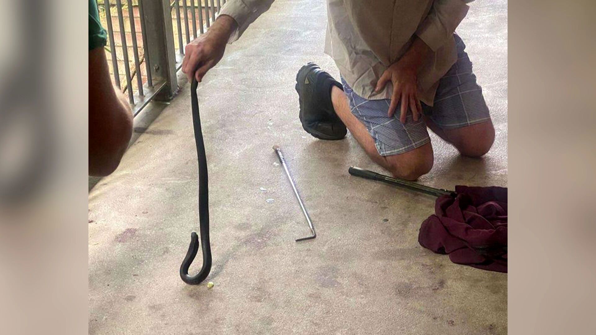 A NSW schoolgirl ﻿has had the fright of her life after she discovered a red-bellied black snake in her lunchbox. Seven-year-old Meila Haynes was packing her up her schoolbag before bell time yesterday when she peered into her lunchbox and spotted the venomous reptile.