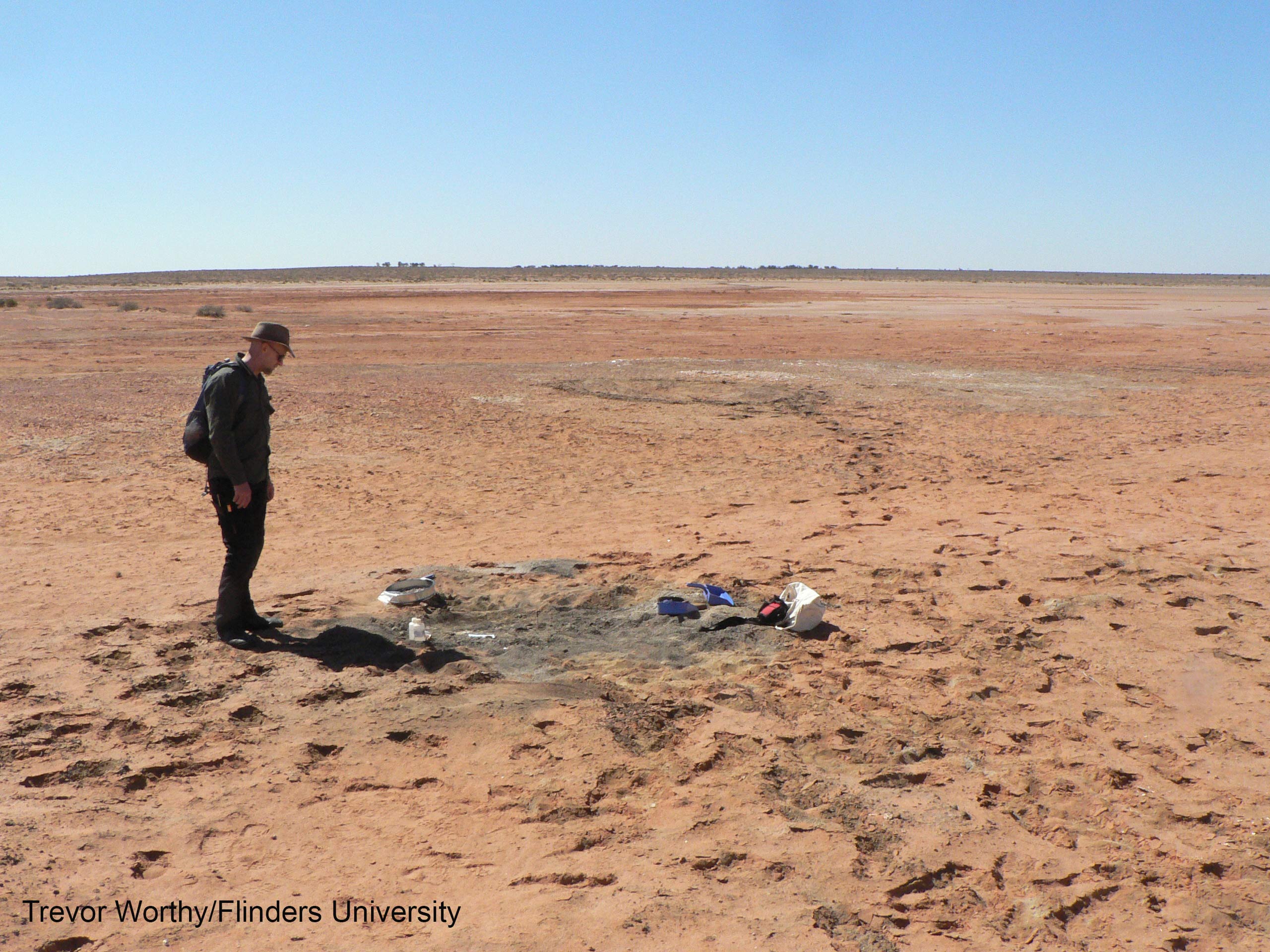 Paleontologists from Adelaide's Flinders University unearthed the fossil in March 2016 on a remote outback cattle station during a research trip at Lake Pinpa in South Australia.