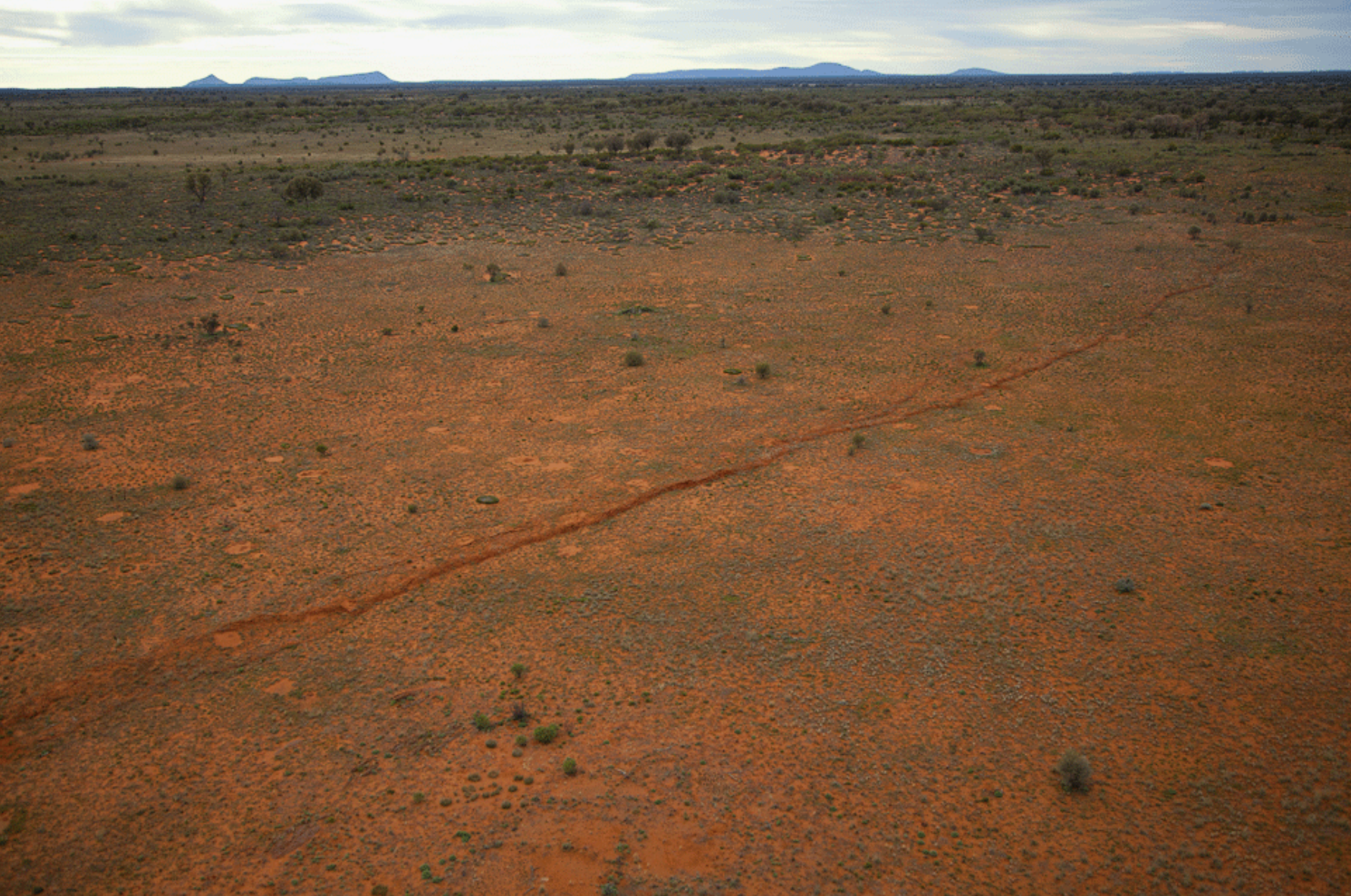 A 20 km-long surface rupture also formed in the Petermann Ranges.