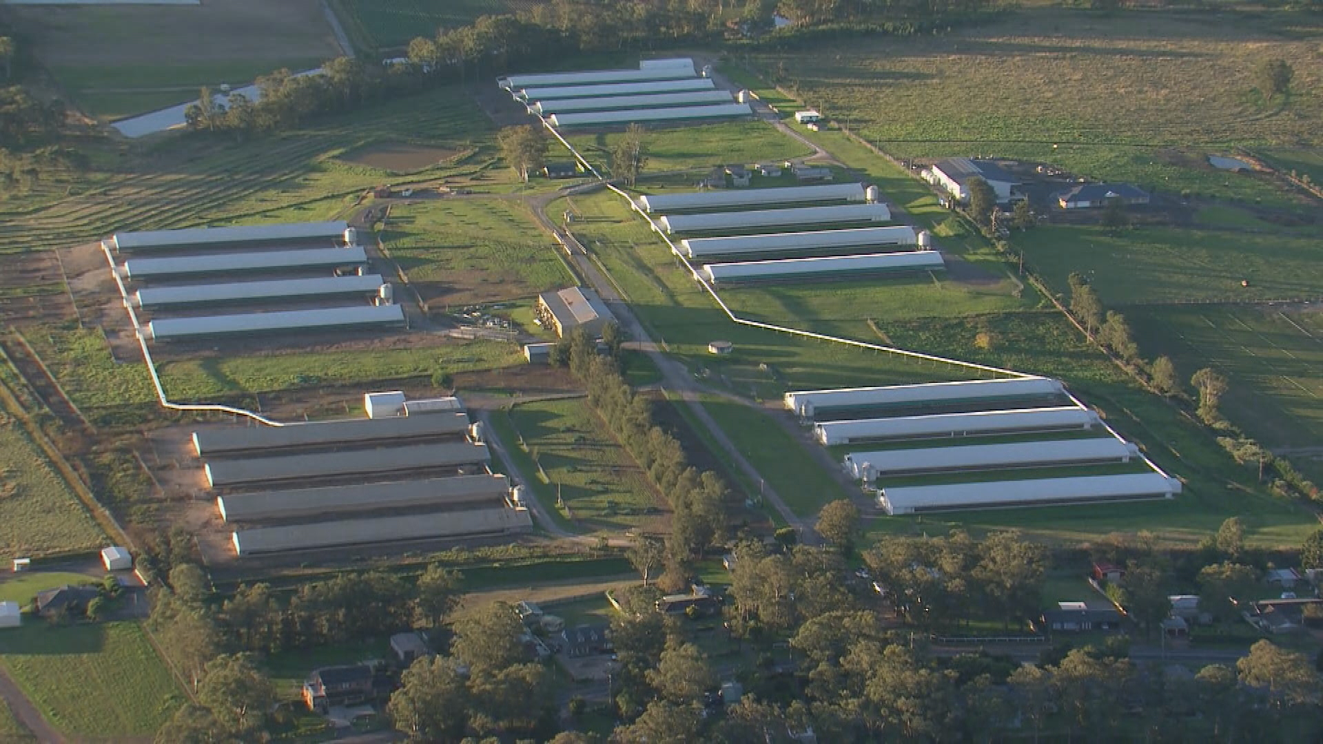 Bird flu has been detected at a commercial egg farm in Sydney's Hawkesbury region.