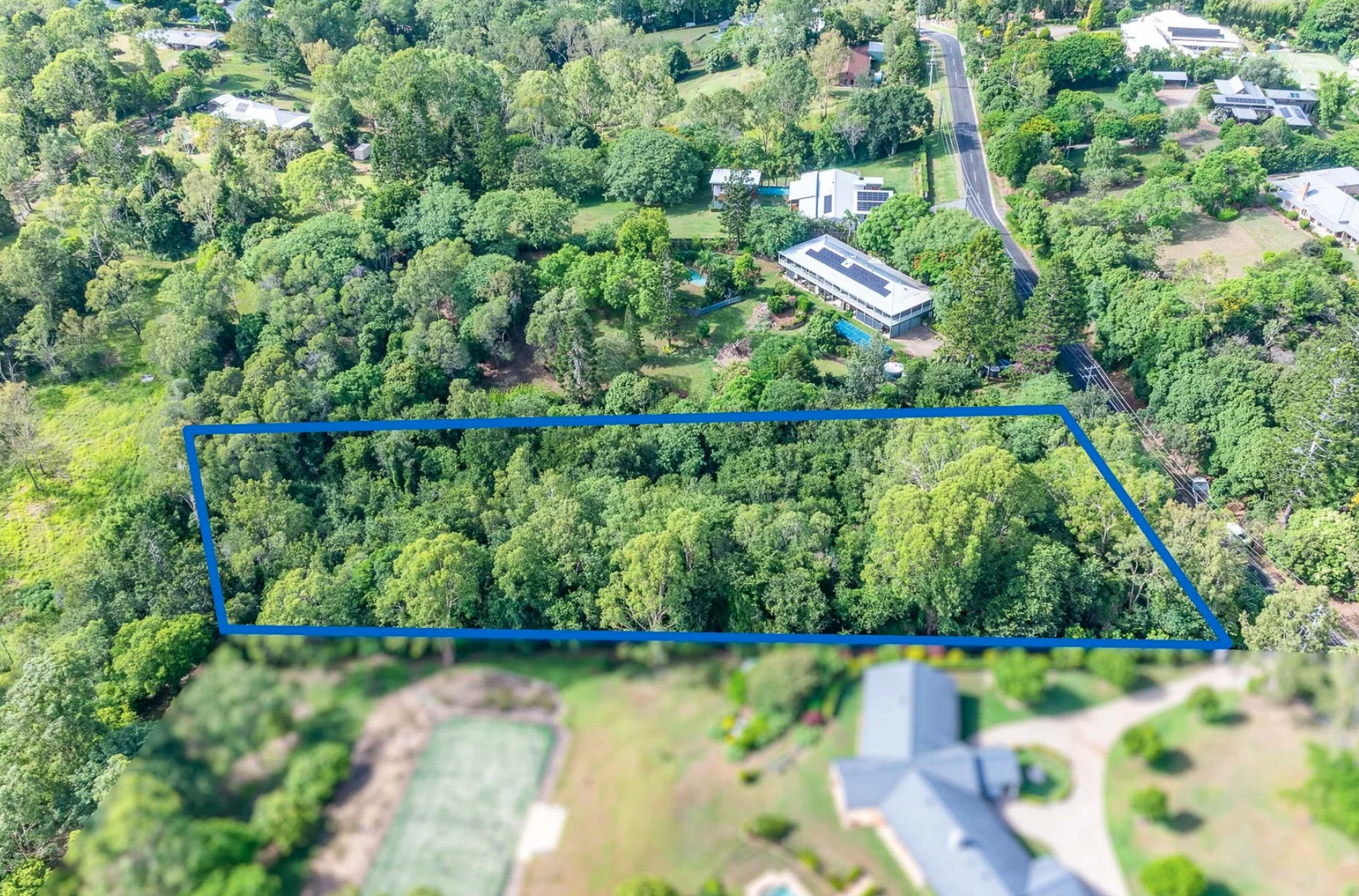 Beneath these trees is a house no one is allowed to enter