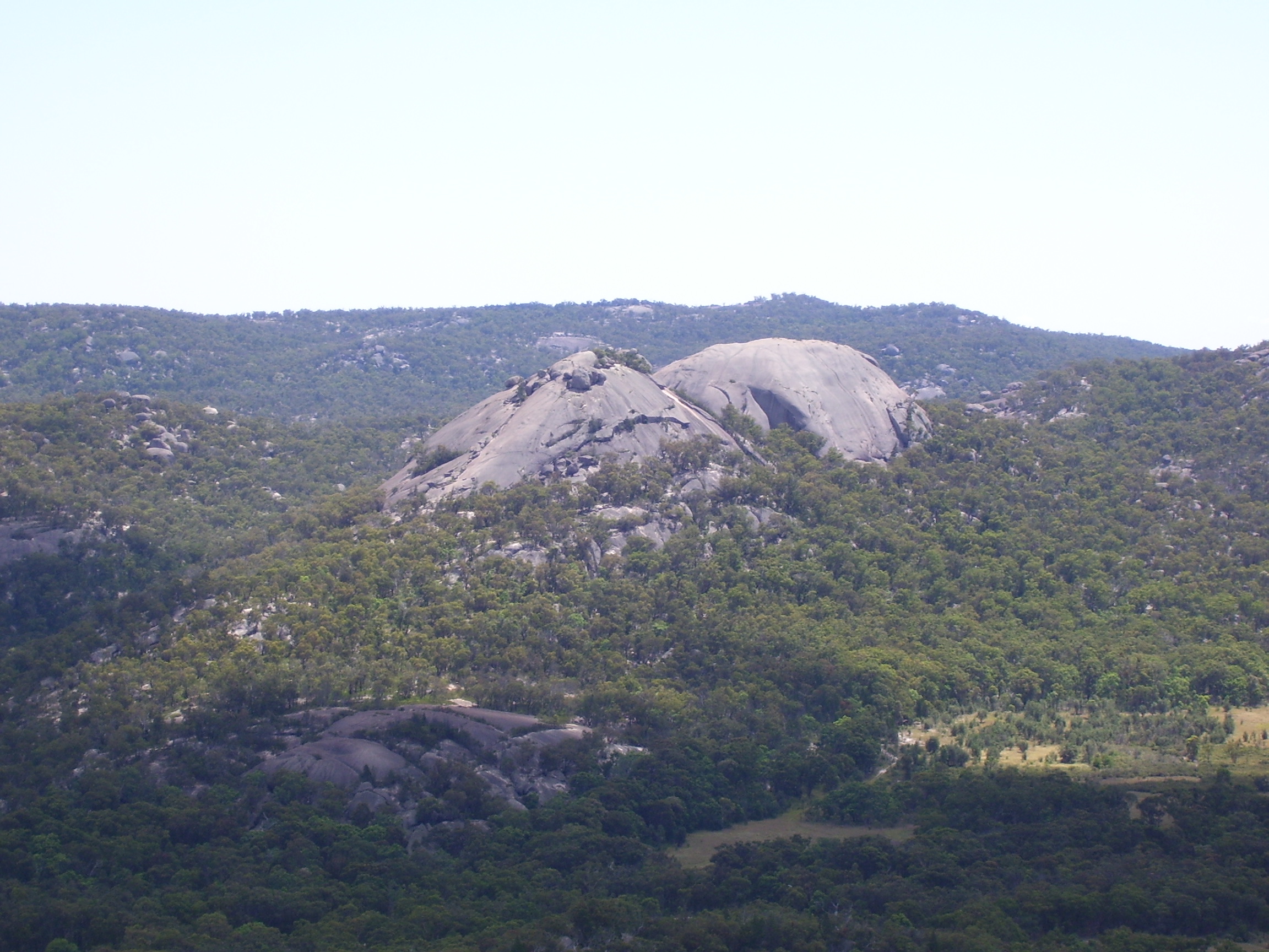 A hiker has reportedly fallen 50 metres at a national park in Queensland's Darling Downs region.