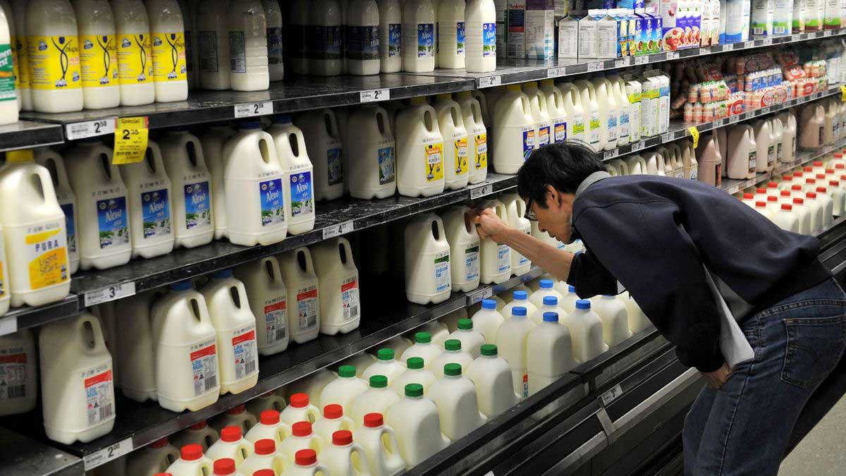 The open dairy section of a Woolworths store.