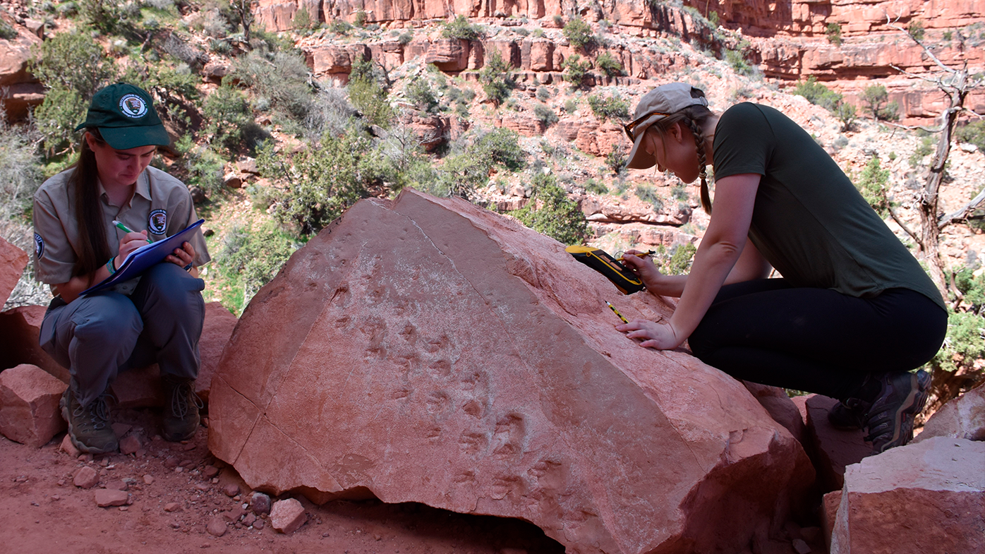  This undated photo provided by Grand Canyon National Park shows park employees Klara Widrig, left, and Anne Miller examining a rock that revealed fossilized footprints at the Grand Canyon in northern Arizona. (Grand Canyon National Park via AP)