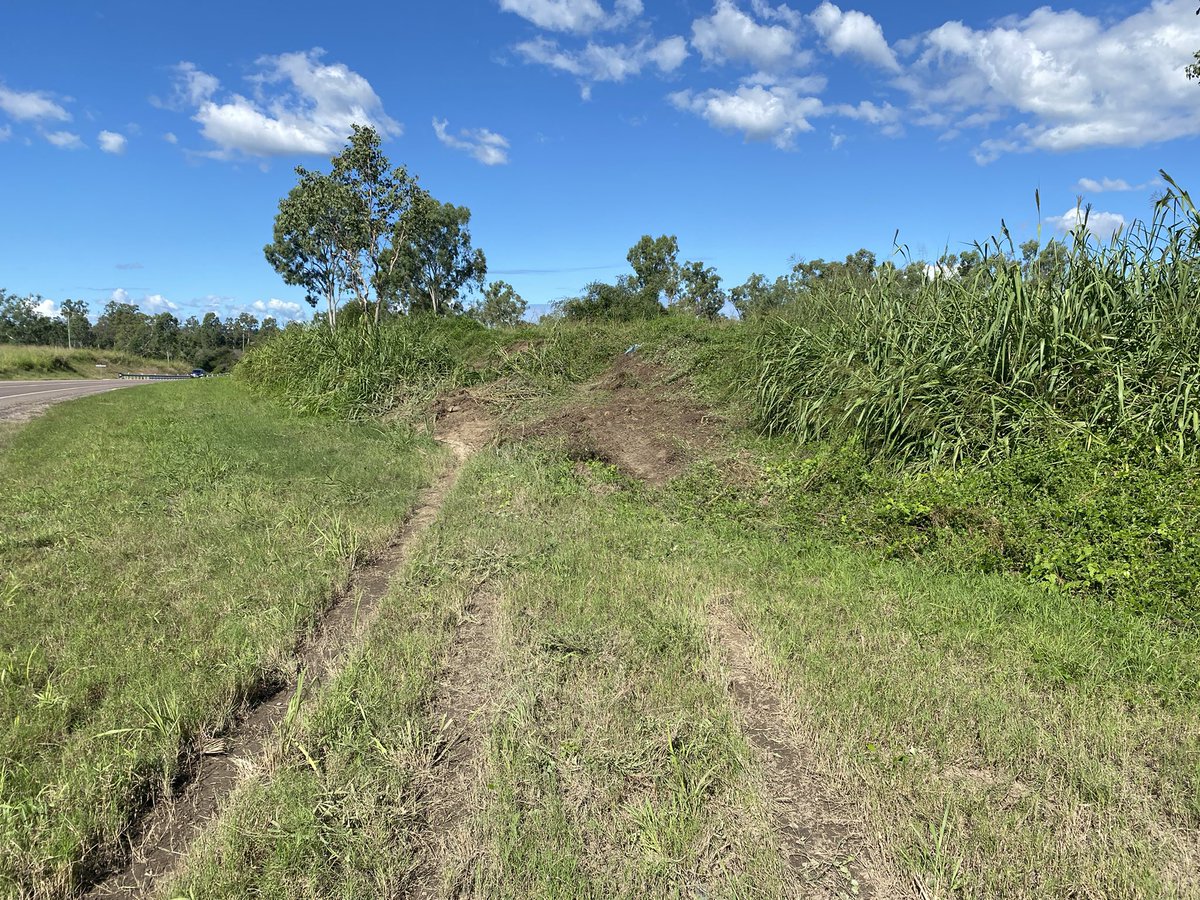 The embankment where Andrew Symonds crashed.