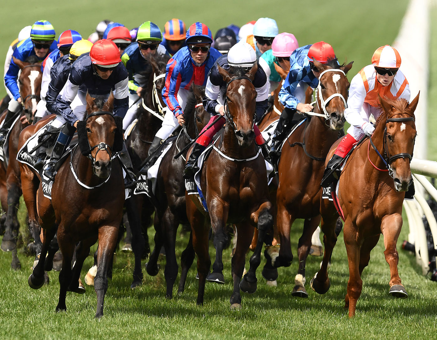 Melbourne Cup horses 2020, form guide, tips from Simon O'Donnell