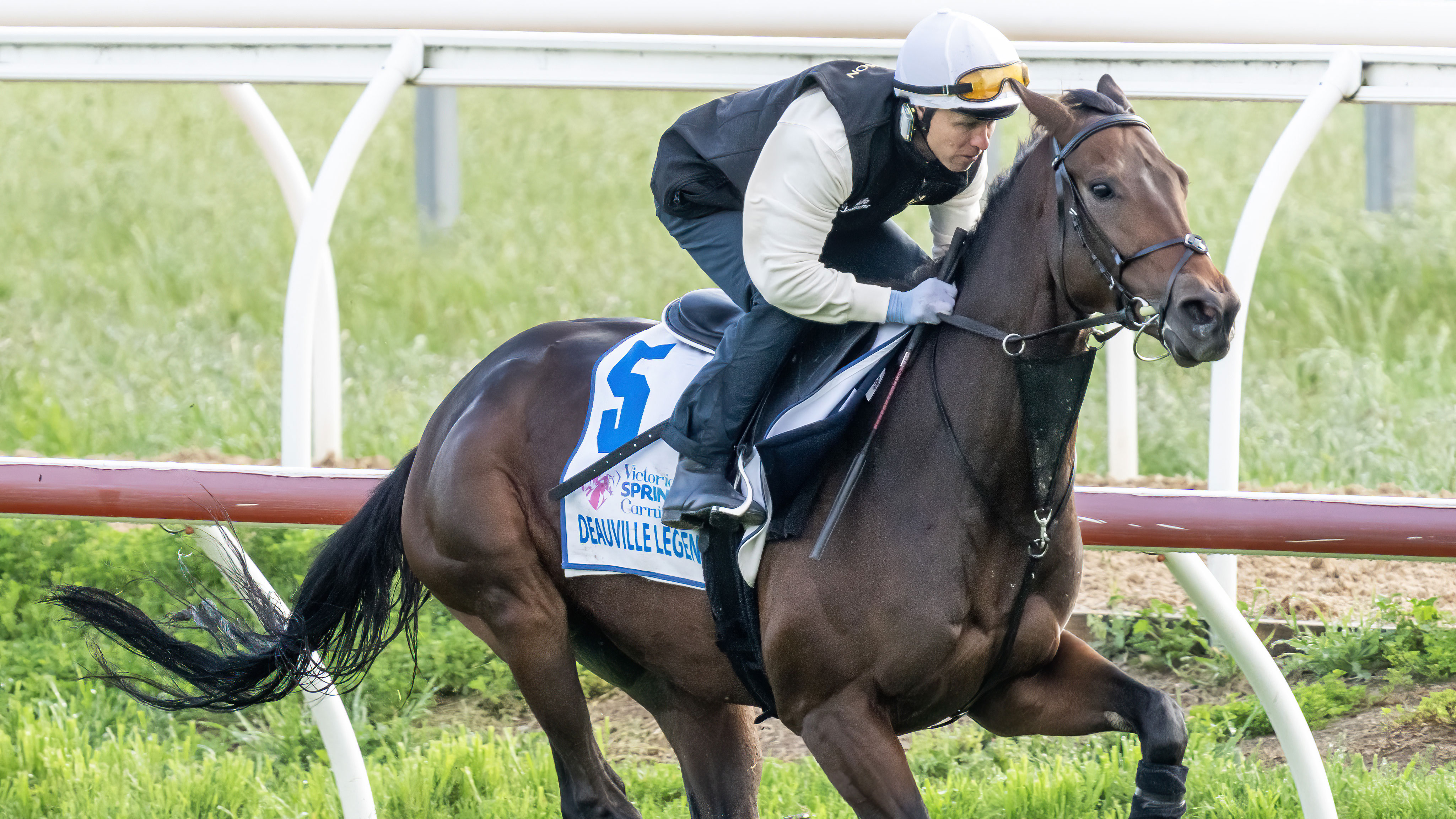 Kerrin McEvoy onboard Melbourne Cup favourite Deauville Legend during trackwork at Werribee Racecourse on October 25.