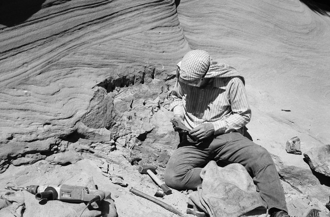 The dig was labour-intensive with the aim to learn about dinosaurs and other animals that lived in polar south-eastern Australia during the Early Cretaceous. 