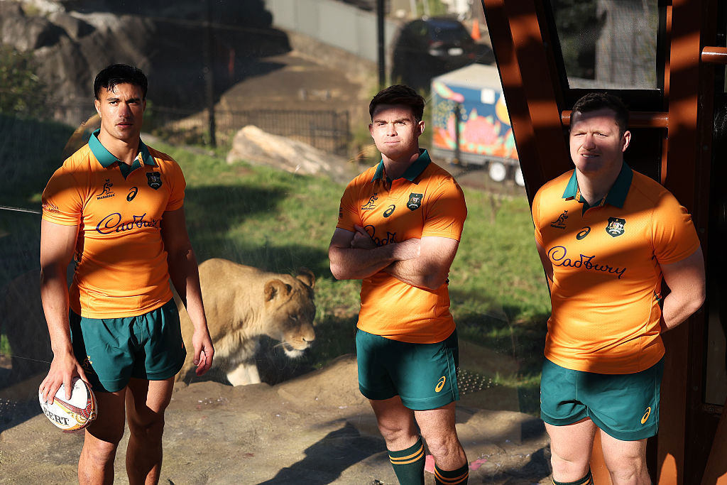 Joseph-Aukuso Suaalii, Andrew Kellaway and Angus Bell pose next to a lion.
