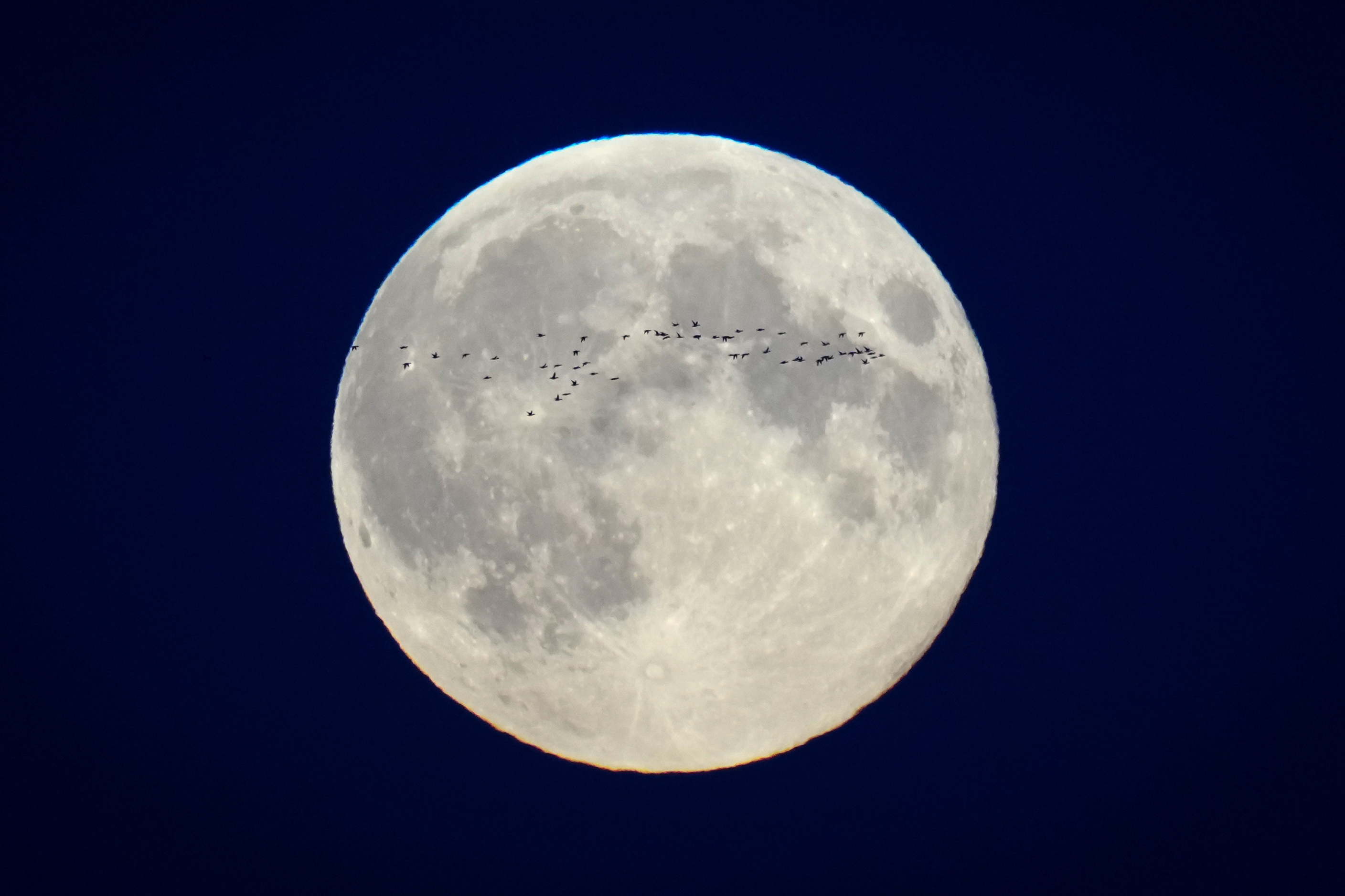 SpaceX lanza dos misiones lunares de una sola vez