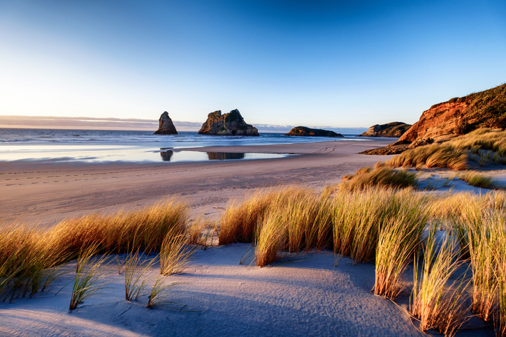 The golden treasure hidden on New Zealand beaches