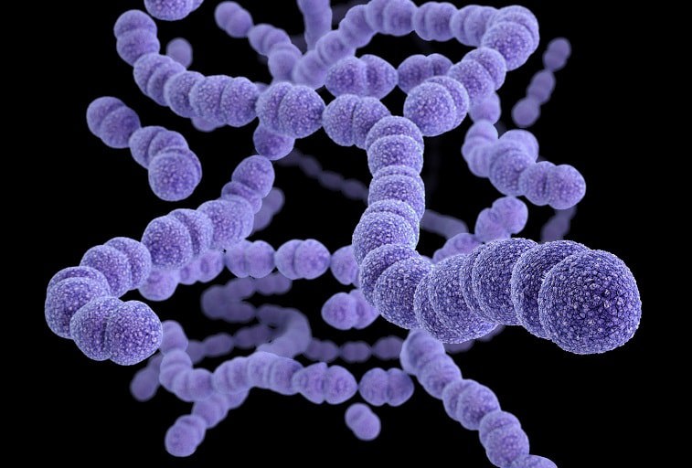 pneumococcal disease