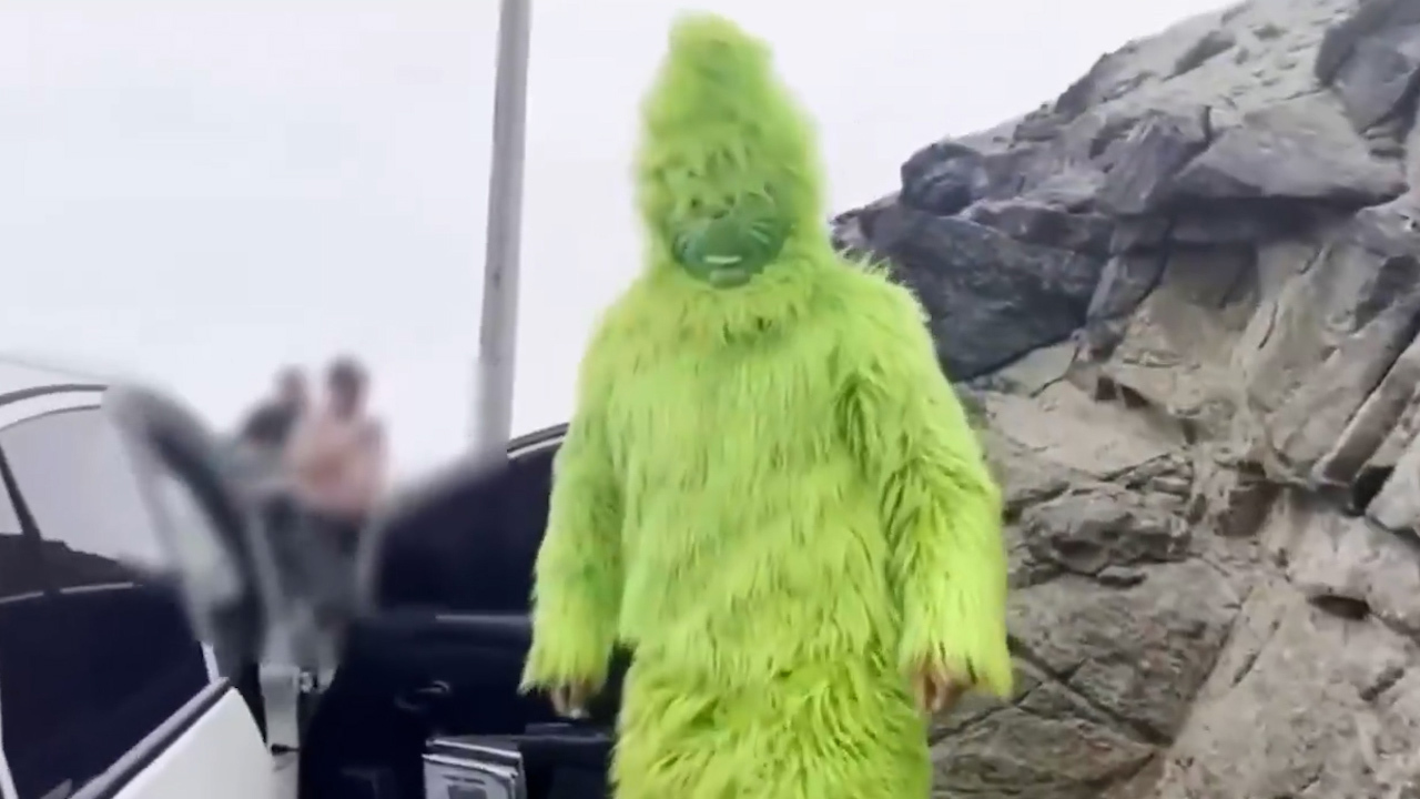 Police officer dresses as the Grinch in Peru