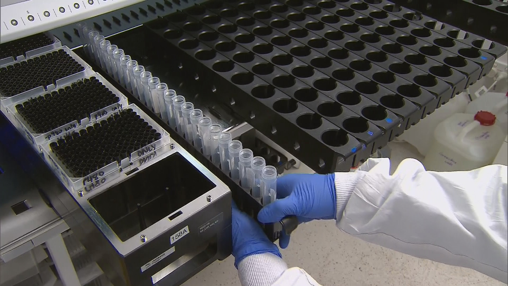Australia launches self-testing kits for cervical cancer