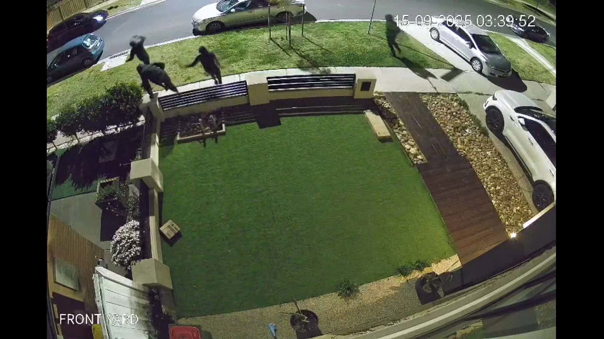 An eight-year-old Labrador is being hailed a hero, after he scared off a group of would-be home invaders from his family's home. 