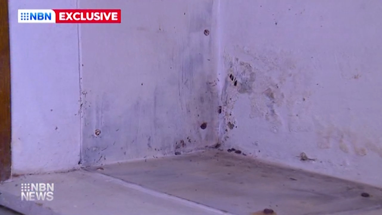 Two social housing tenants say they're concerned for their health due to a mould infestation in their Newcastle apartment.