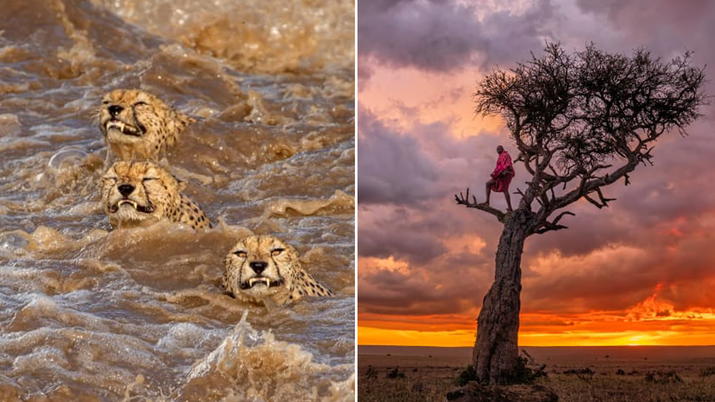 Mkapa Awards photo exhibit at Four Arts showcases wildlife of Africa