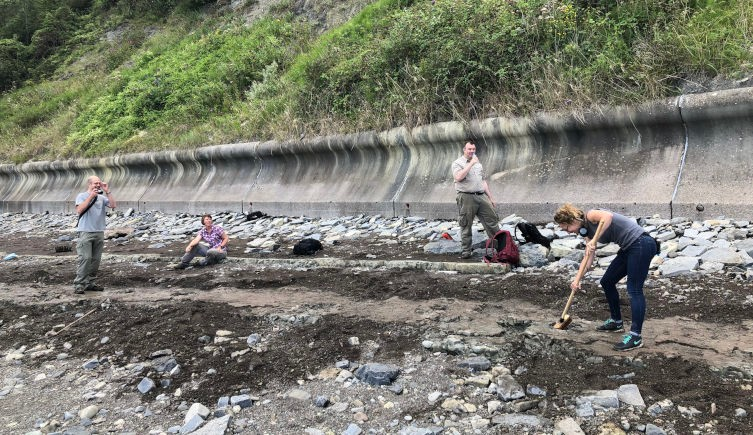 Natural History Museum researchers first became aware of the tracks after being contacted by a member of the public.