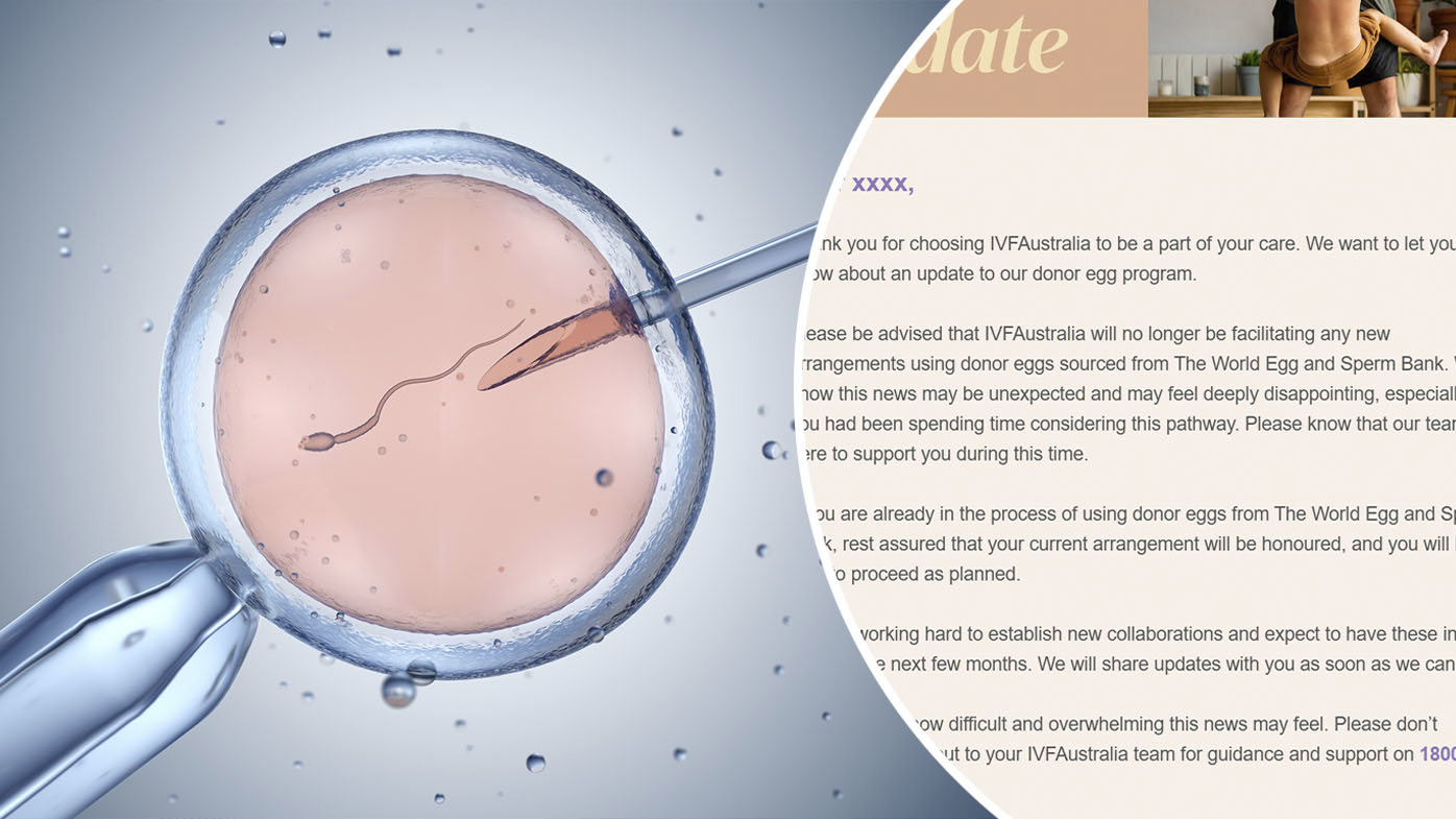 Reason behind leading IVF clinic's huge donor egg call remains a mystery
