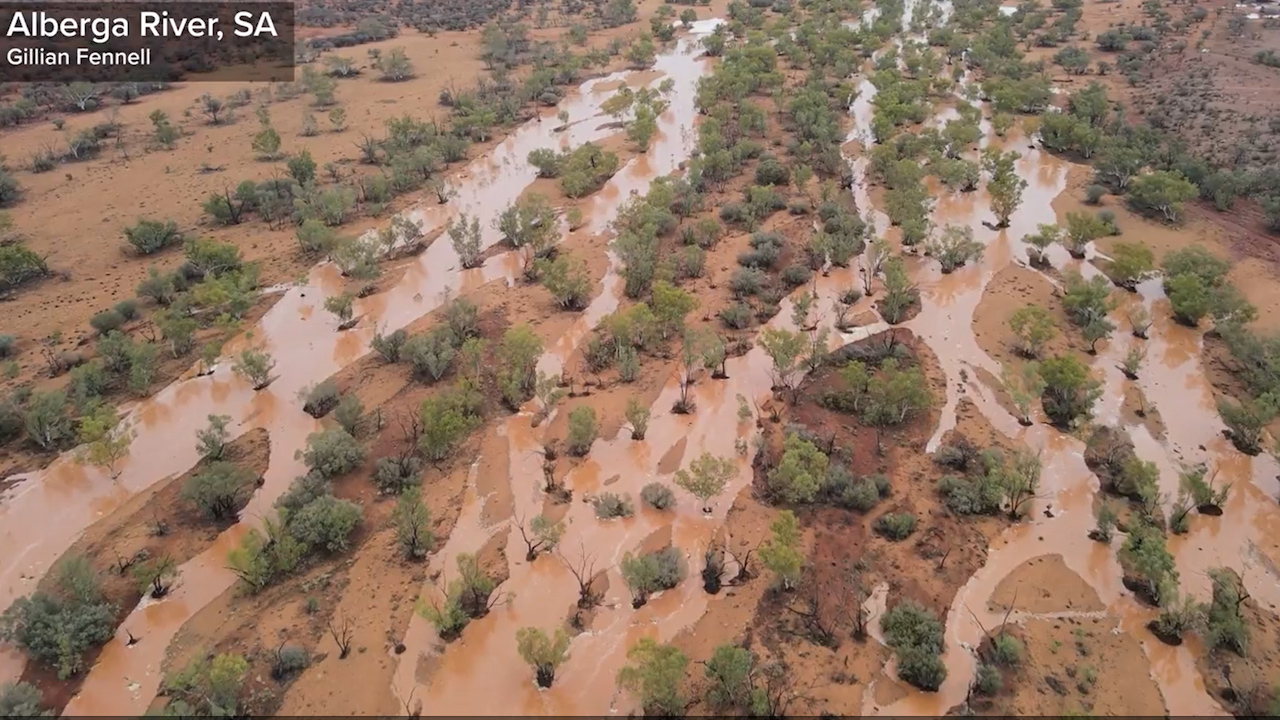 For the first time in 18 months water has flowed through the Alberga River in South Australia.