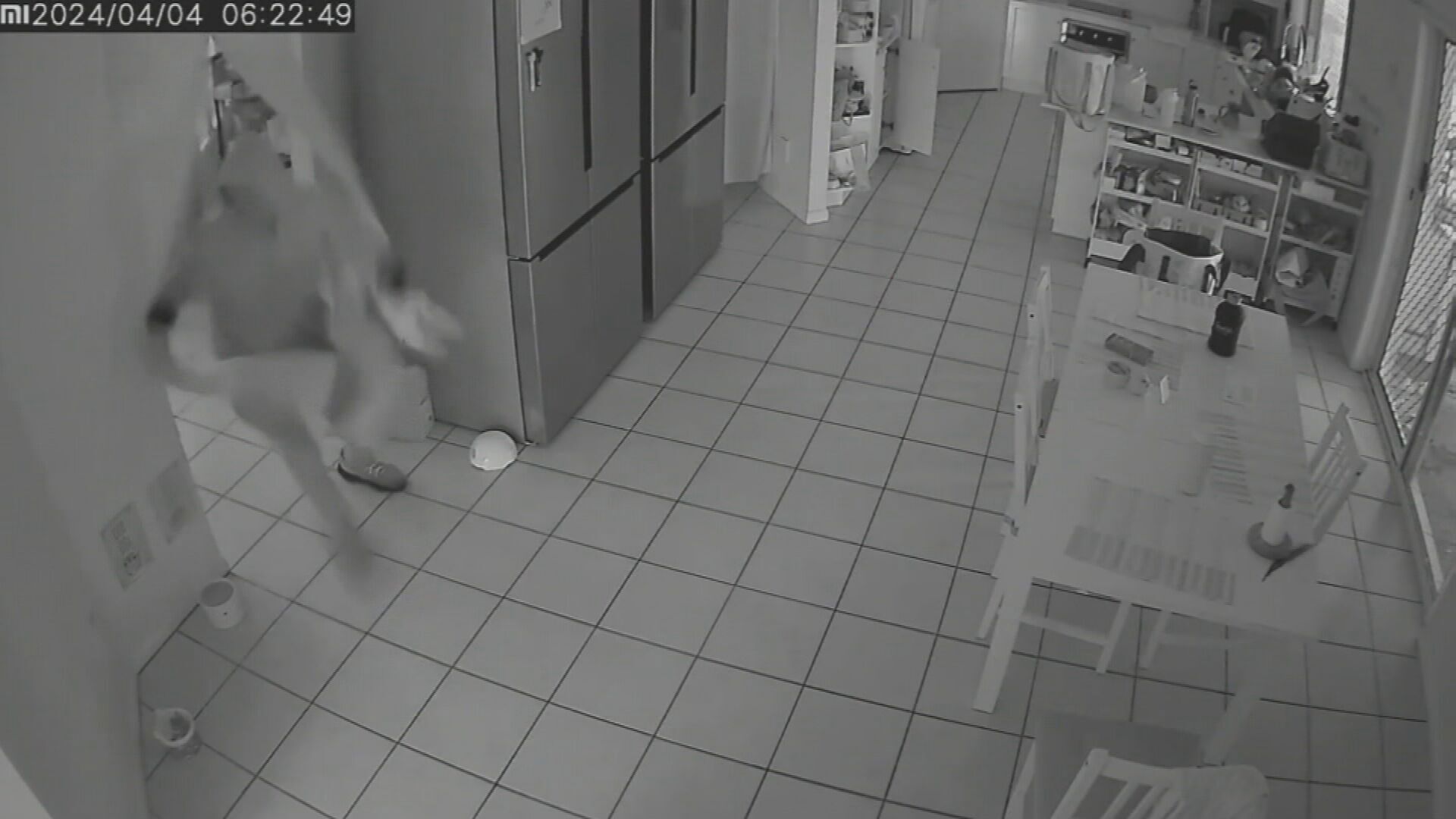 Home invasion Stretton Brisbane