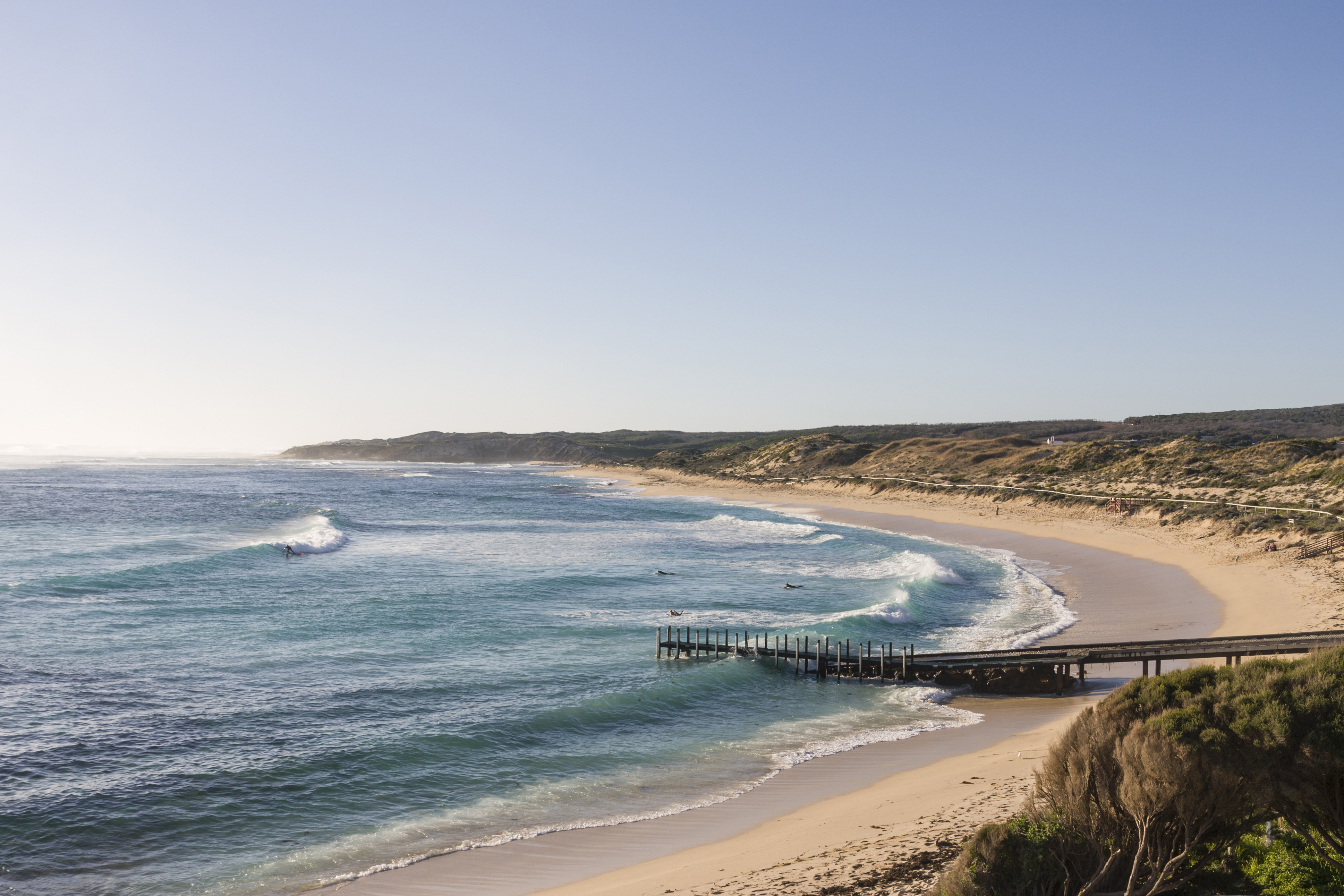 Great White Shark knocks rider off foilboard at WA beach