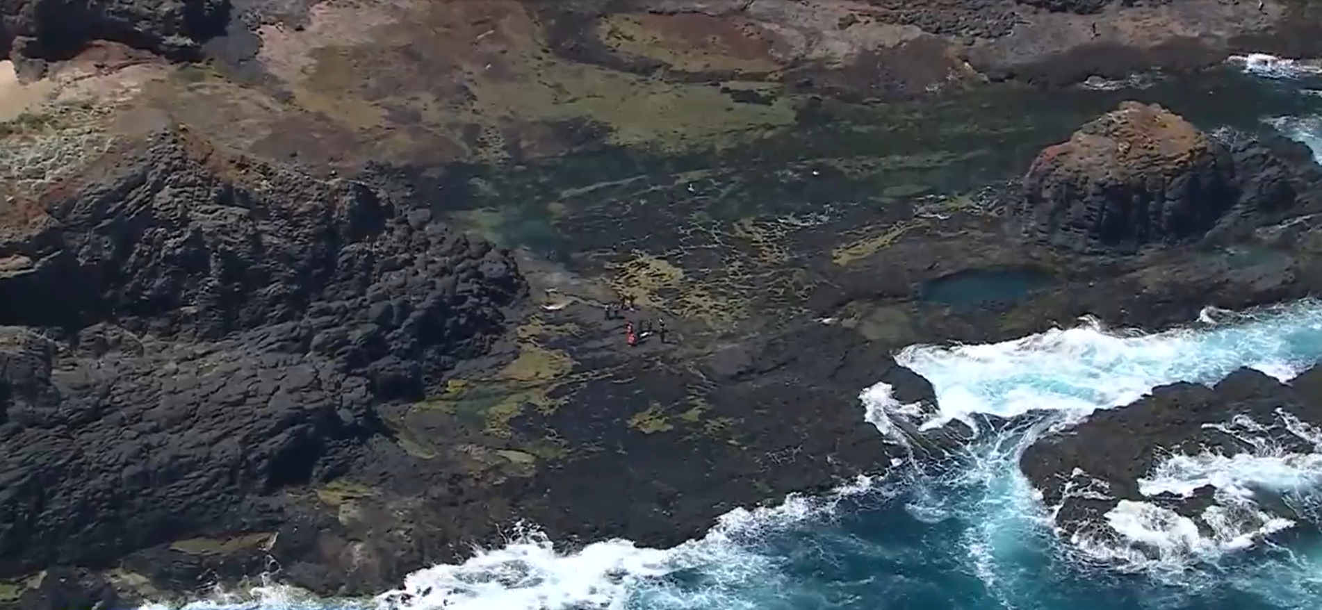A tourist has been hospitalised after falling six metres down a cliff at the Mornington Peninsula National Park in Victoria.