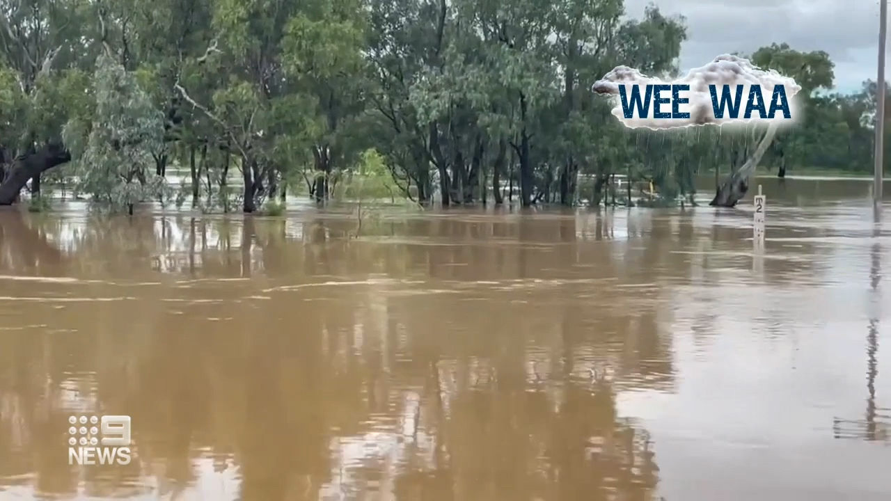 A major flood warning has been issued for Kingdon Ponds in Scone with the local council advising that the river has broken its banks.