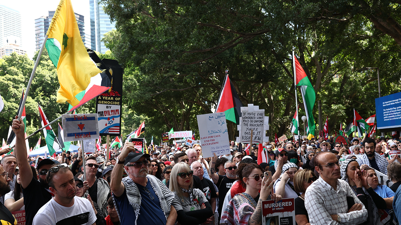 Pro-Palestine demonstrators at Hyde Park in Sydney.