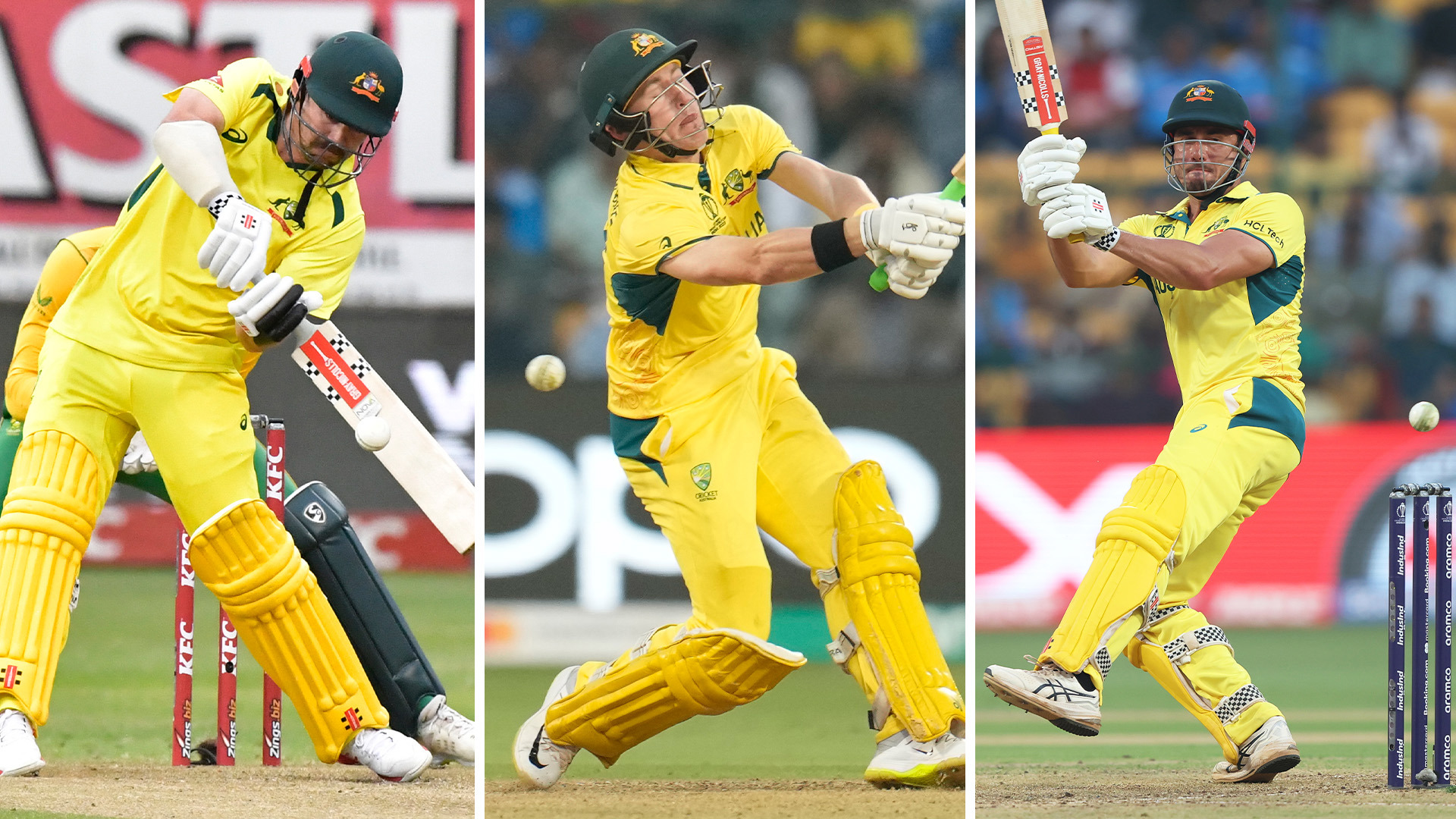 Travis Head, Marnus Labuschagne, Marcus Stoinis split.